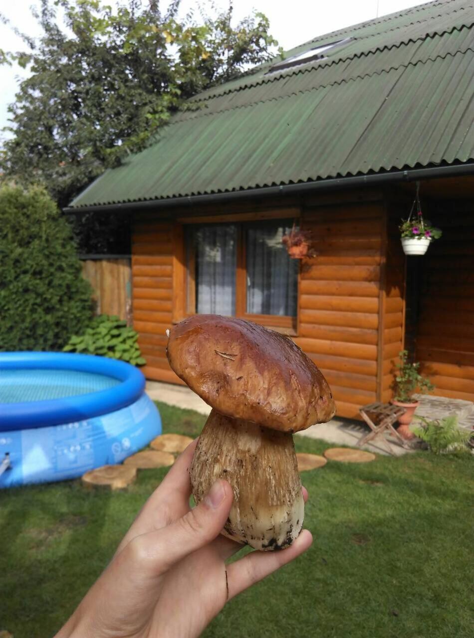 Friendly House *